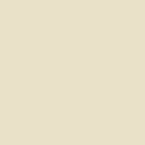 A subtle design featuring a plain, light beige square, where the simplicity of colours and lack of specs or textures create a calm and understated aesthetic.