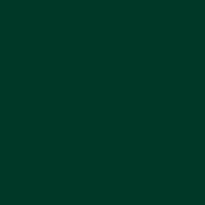 Solid dark green color background, perfect for those who appreciate bold colours and refined specs.
