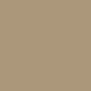Solid light brown color square with subtle specs of varying shades, offering a rich palette that perfectly complements other colours.
